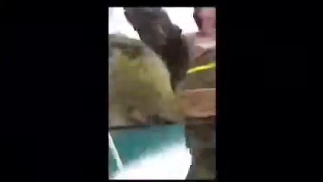 Приятный отдых с приятными людьми ❤️💪🏿👍🏻.