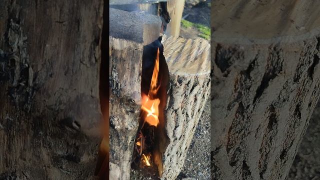 1002043749.mp4