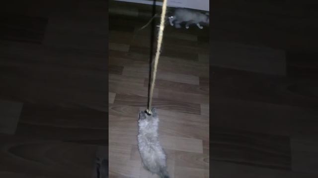 Моя Гульмира, моя Етя, моя Соня , мои любимые !