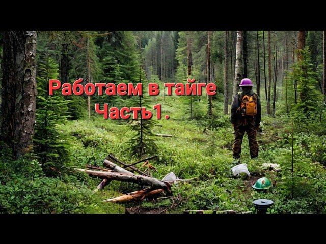 В тайгу на заработки. Живём и работаем в тайге. Часть1.