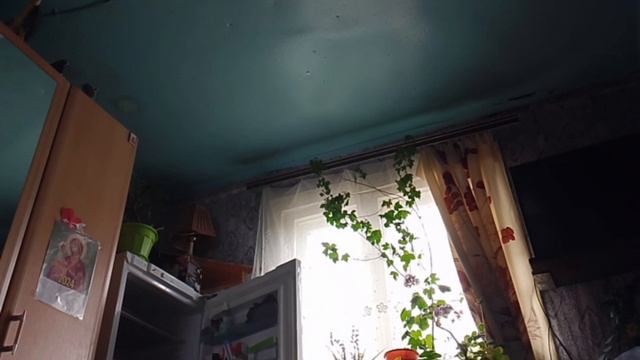 покупа чееее, доставка из ВБ обзор про чëрную футболку с узорами белые и зелëный. дата 19 апреля суб