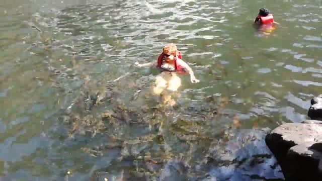 ГОА. Водопад с карпами