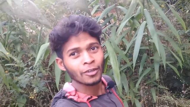 Indian Village Life Vlog || Indian Rural Life Vlog || Broom || झाड़ू ||  Harza Vlogs || #indianvlog
