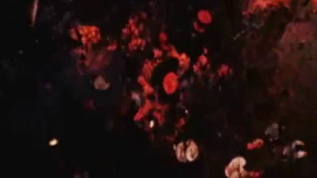 Sirr - Yaşamaq Gözəldir