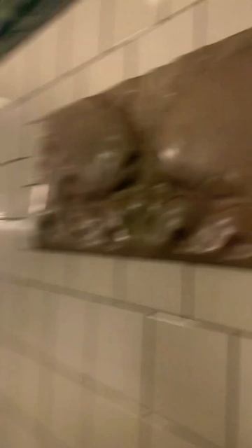 Biggest Tunnel Under River Alter Elbtunnel #nature #shorts #short #shortvideo #shortsvideo