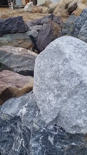 1000037305.mp4