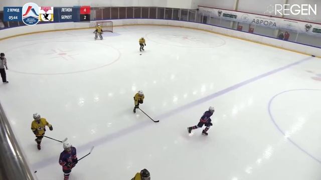 Легион 2014 - Беркут 2014 / Детская Хоккейная Лига