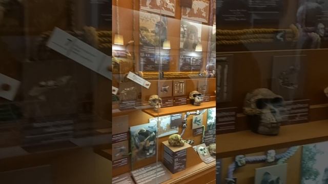 1000599198.mp4