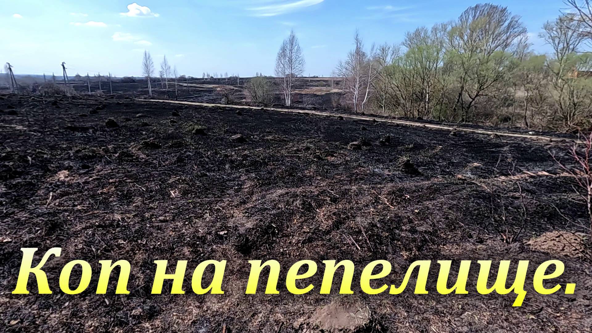 Коп на пепелище