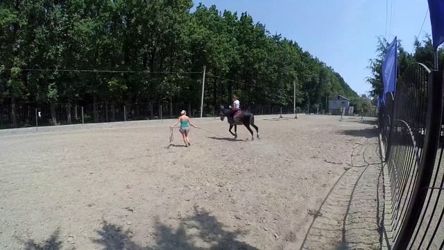ТРЕНИРОВКА №2