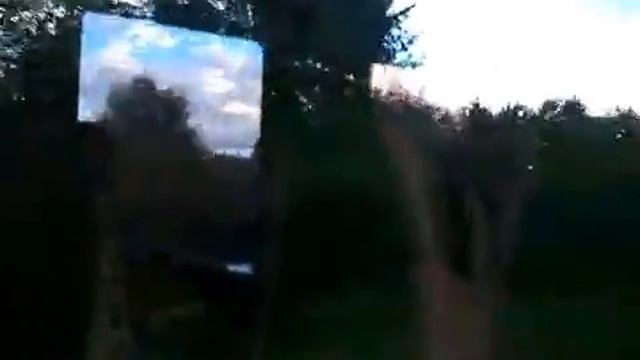 из поезда Калининград Москва