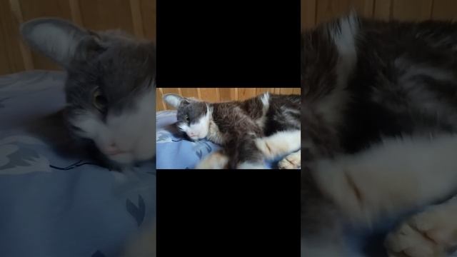 Манетка конфетка
