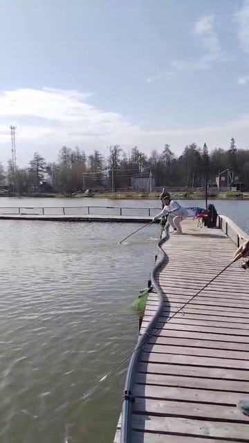 WhatsApp Video 2025-04-19 at 10.05.14