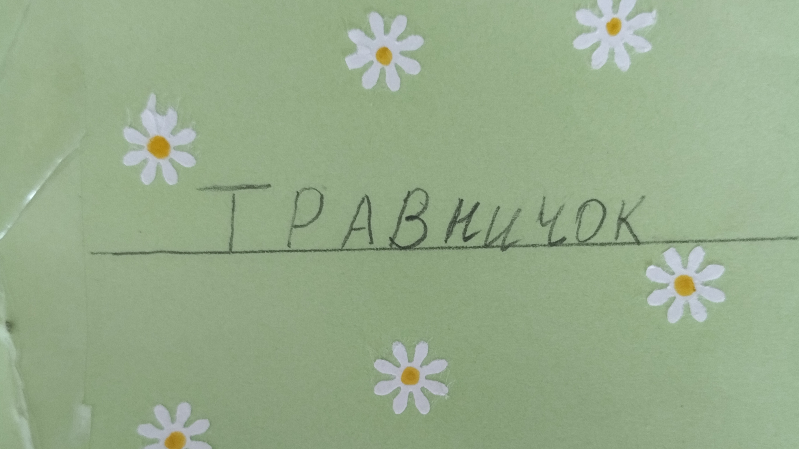 делаем травничок своими руками