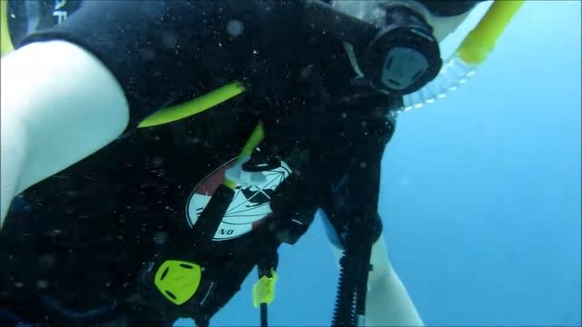 Diving In Phuket
