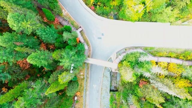 УРФО 2019 - Тизер