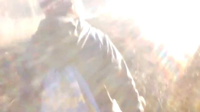 Поджог травы