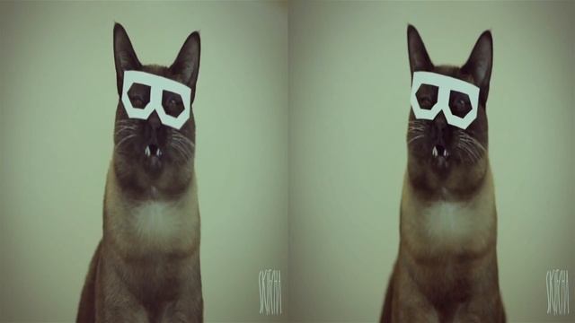 stereo skifcha (original)