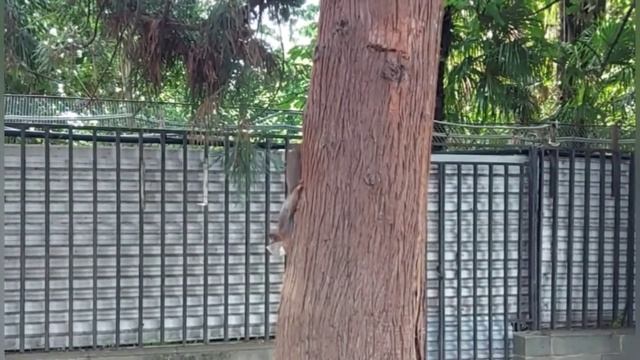 Всем нужно подумать🤔Белки🐿Прямой эфир будет в 20.00