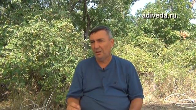Гомонов. О самозванцах волхвах.