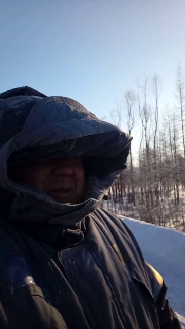 Там где волки не ходят