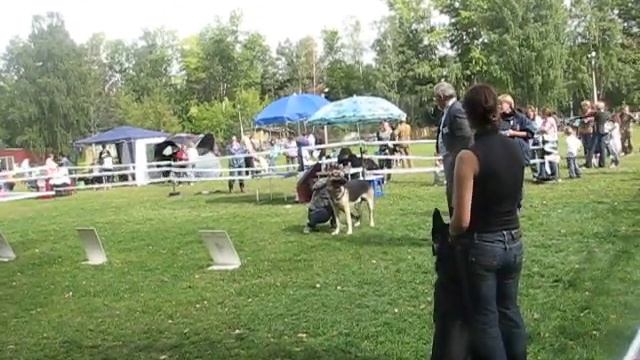 MVI_0647.AVI