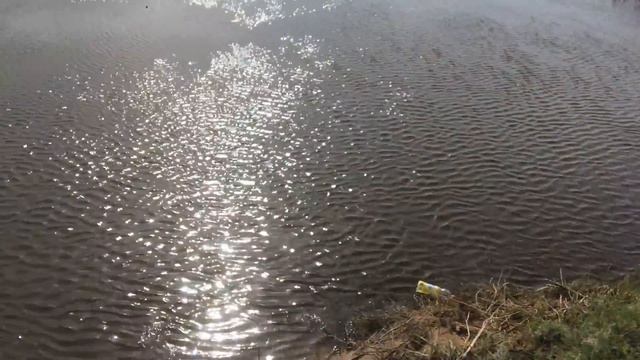 Рыбалка Нура 19 мая 2017