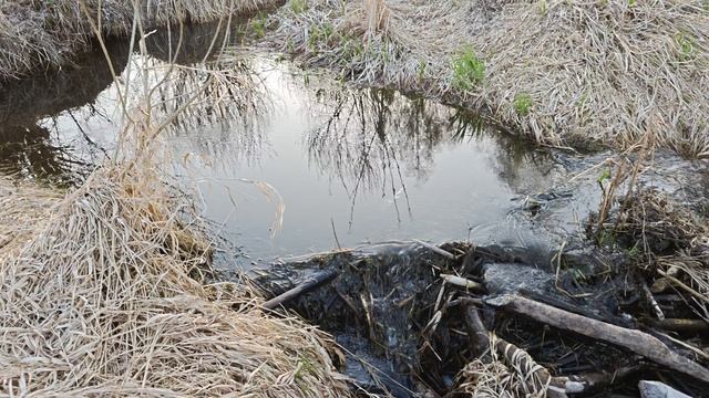 Весна - ручьи!