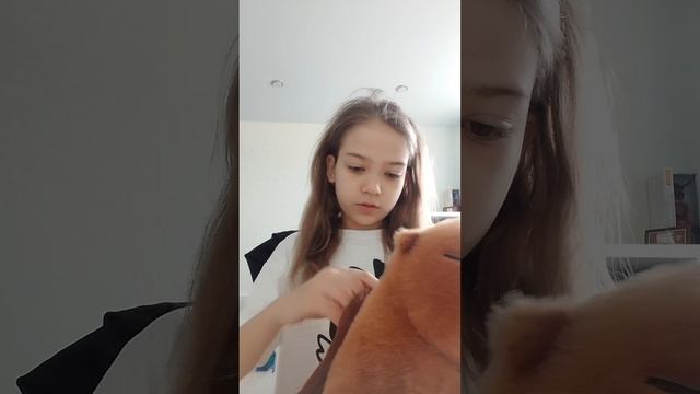 VID_20250419_121116.mp4