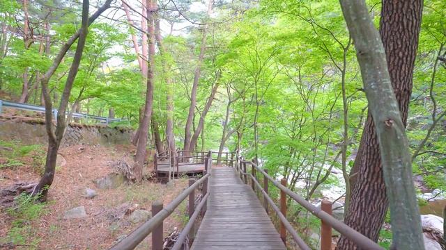 걷기만 해도 눈과 귀가 맑아지는 합천의 명산 가야산 [KOR/ENG]