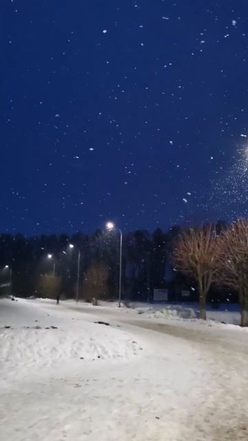 February. Snow. Evening. #Winter #evening #snowflakes #sky #nature #relaxation #lanterns #weather