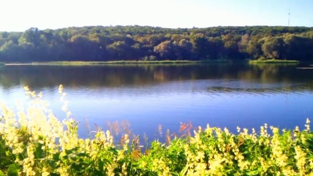 Речка. Лето. Красота