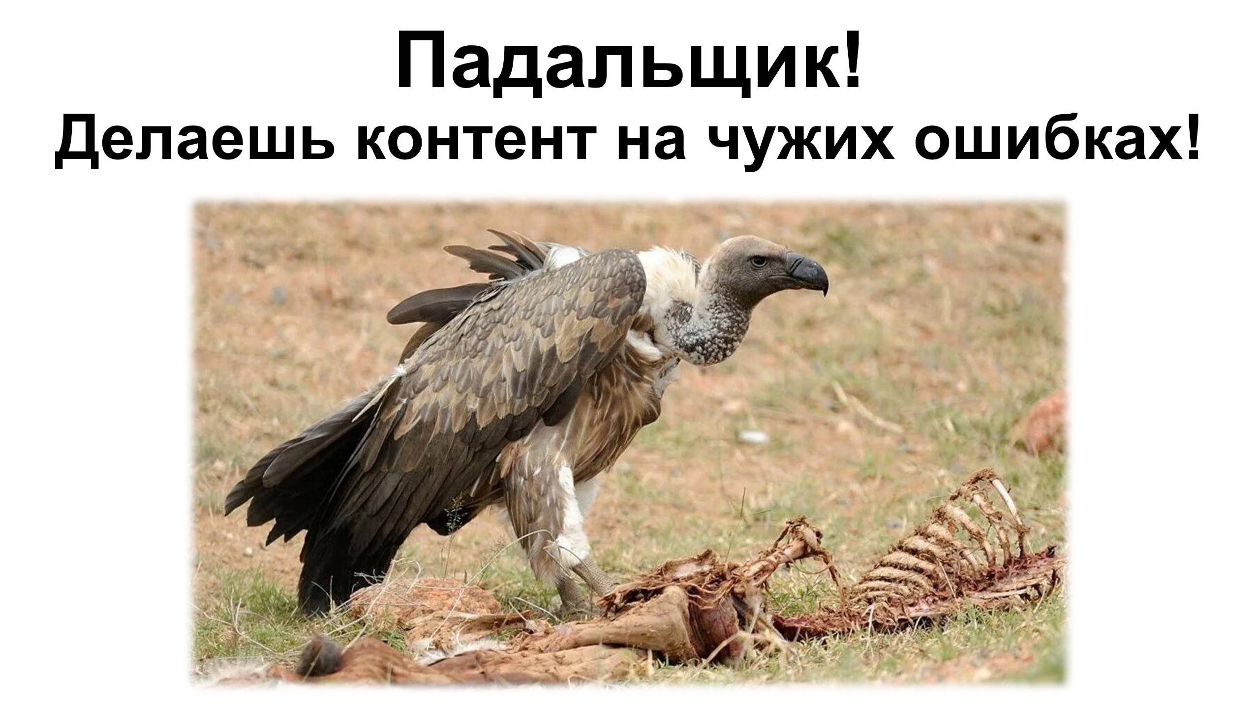 Почему ты живешь на чужих ошибках?