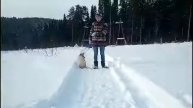 Пародия под песню "Улетай"