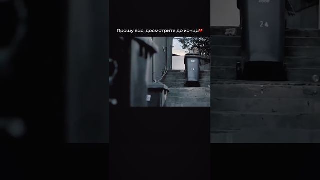 смотреть всем