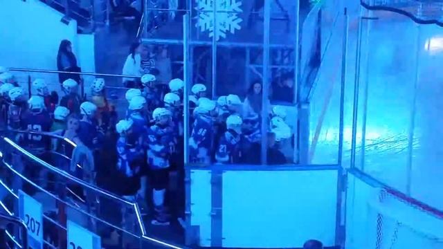Открытие 14 турнира по хоккею с шайбой 4 января 2018 г.