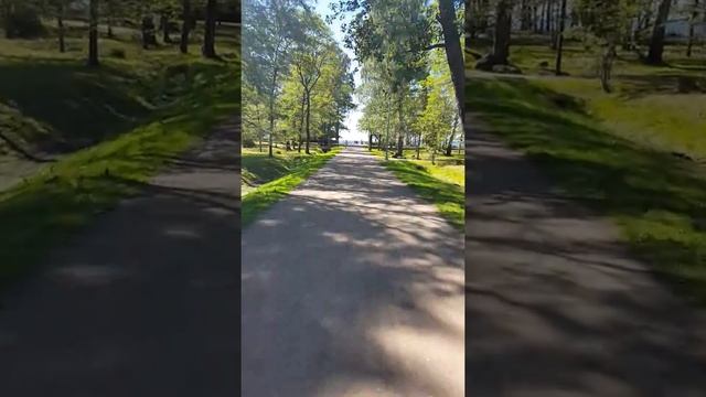 Сестрорецк. Парк "Дубки"
26 июня