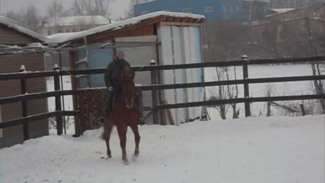 "Хобби-класс": Твид (снято 22.02.2012)