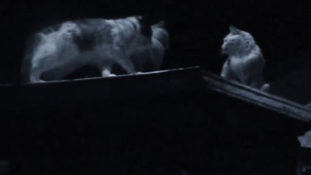 すべてがうまくいくでしょう。