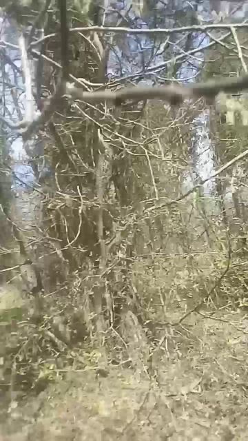 Уже почти лето😃