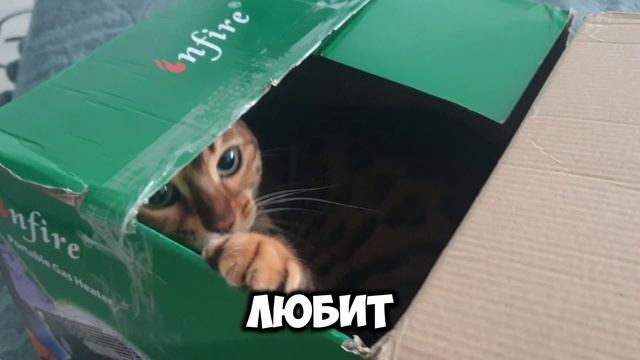 распаковка