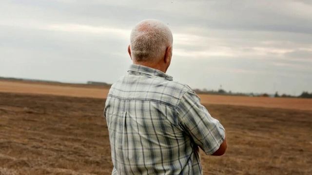 ТАК ПРИХОДИТ ВЕСНА стихи Ларисы Гавриковой читает Д.Канунов