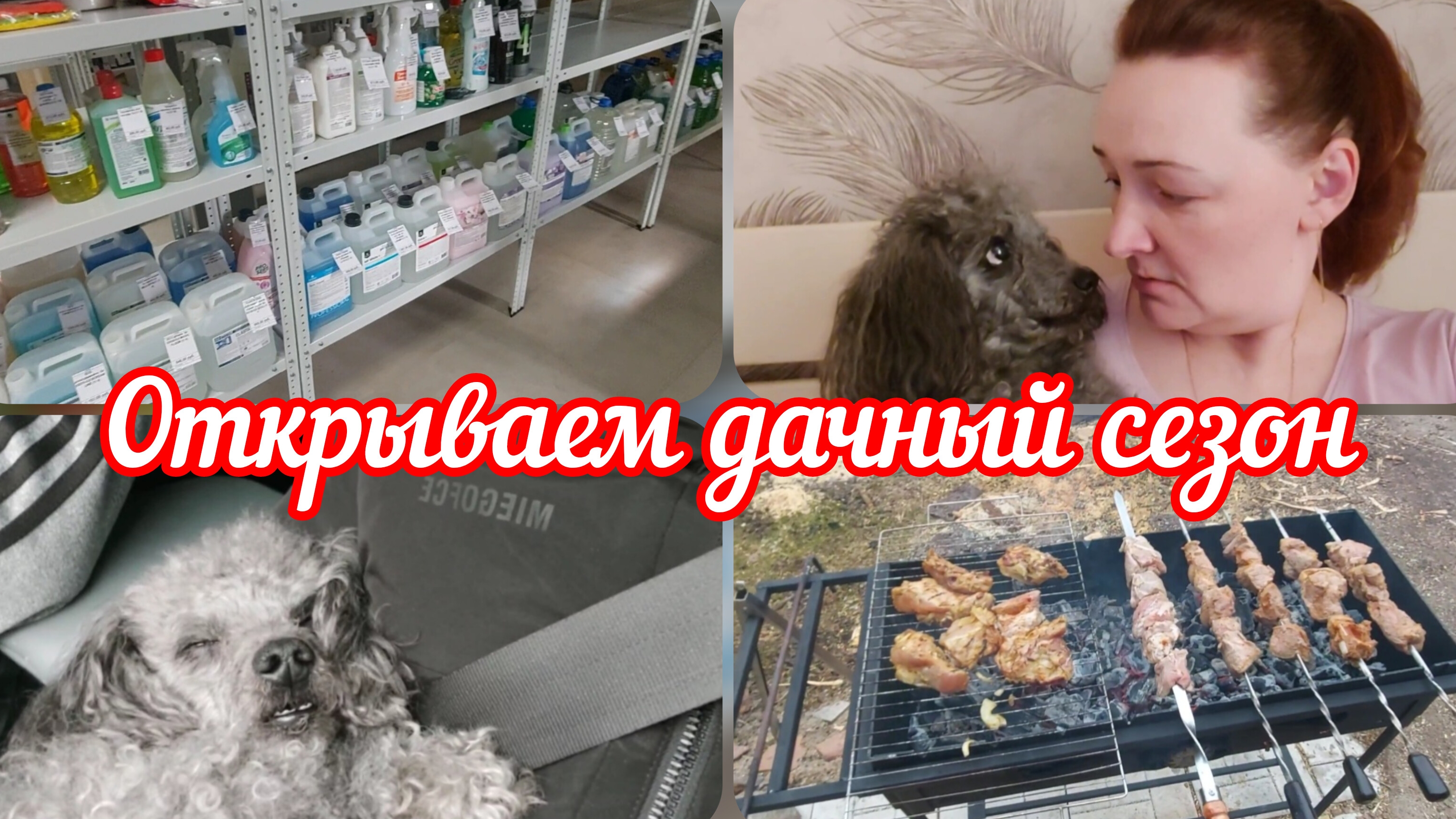 Шашлыки на даче👈Порядок на работе👈У собаки вырубон🤣 #реальнаяжизнь