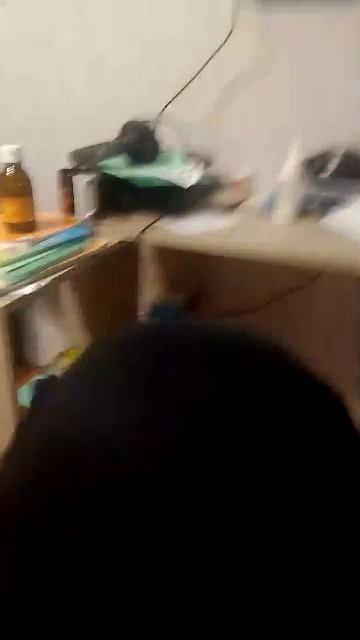 спидран в ГТА за Тревора