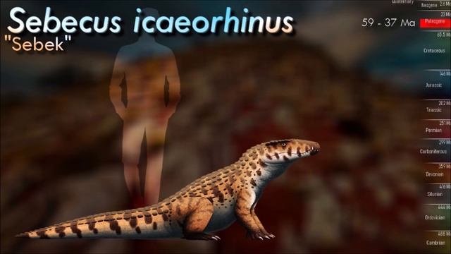 The Evolution of Prehistoric Crocodiles