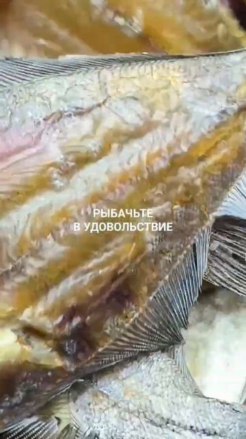 Вкусный вяленый ёрш.