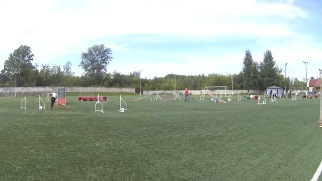 Макарова Дарья Кубок Верхневолжья аджилити 2