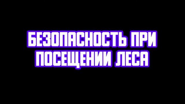 СемьЯ безпасности Макаревич Валерия