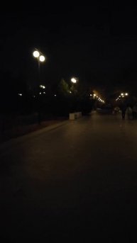 📢Когда начнут штрафовать за выгул собак без намордника в Севастополе???🤬