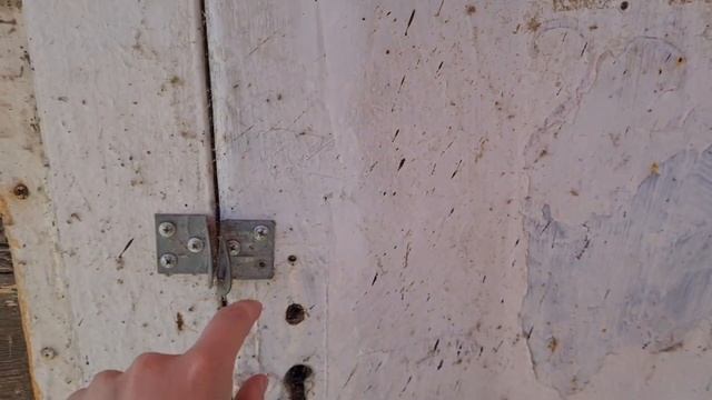1.Автопутешествие Беременной: Дорога из Алматы в Балхаш